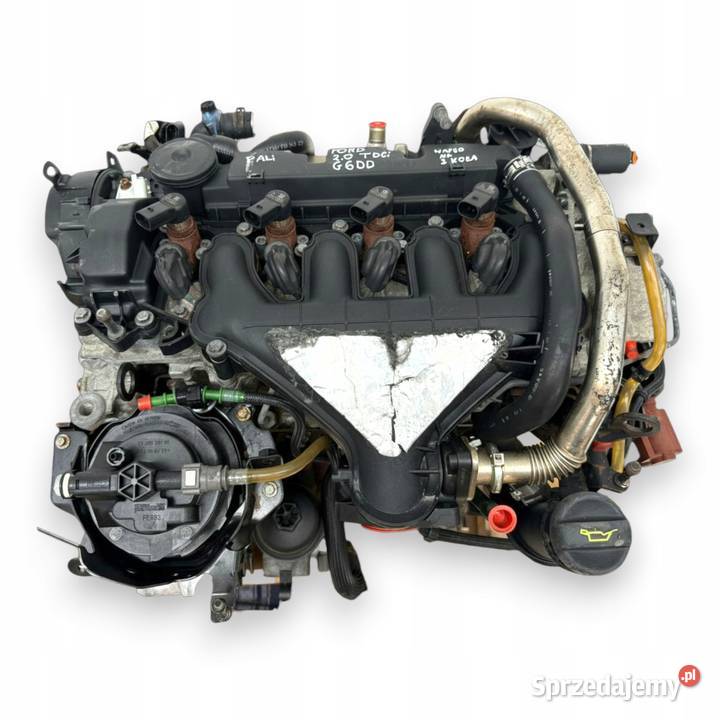SILNIK G6DD Ford C C Focus MK2 20 TDCI 136 Chełm sprzedam