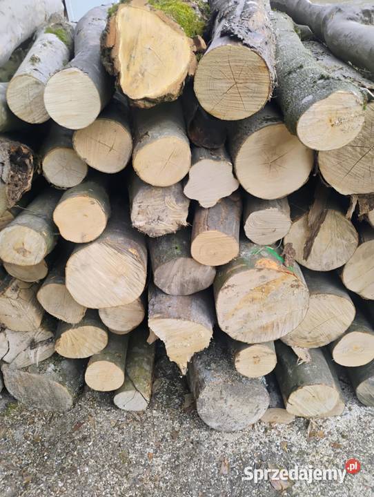 Drewno opałowe bukowe stosowe rąbane suche deski Zamość