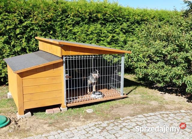 BUDO KOJEC buda kojec boks Dla psów łódzkie Skierniewice