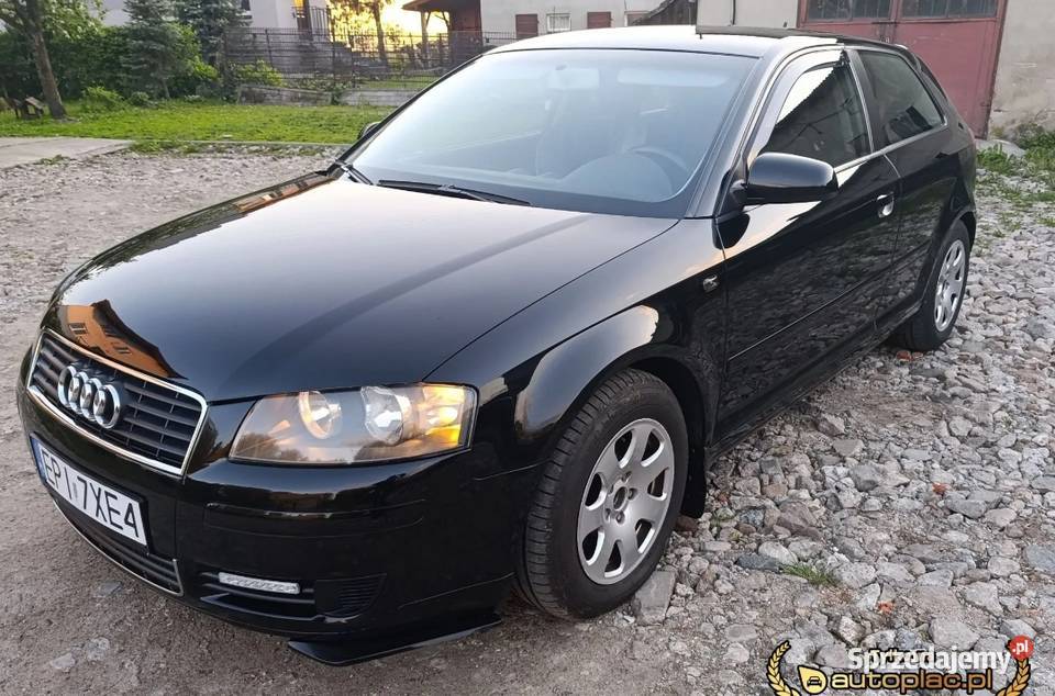 Zadbane Audi A3 8P 16 MPI LPG światła do jazdy dziennej A3 Czarnocin