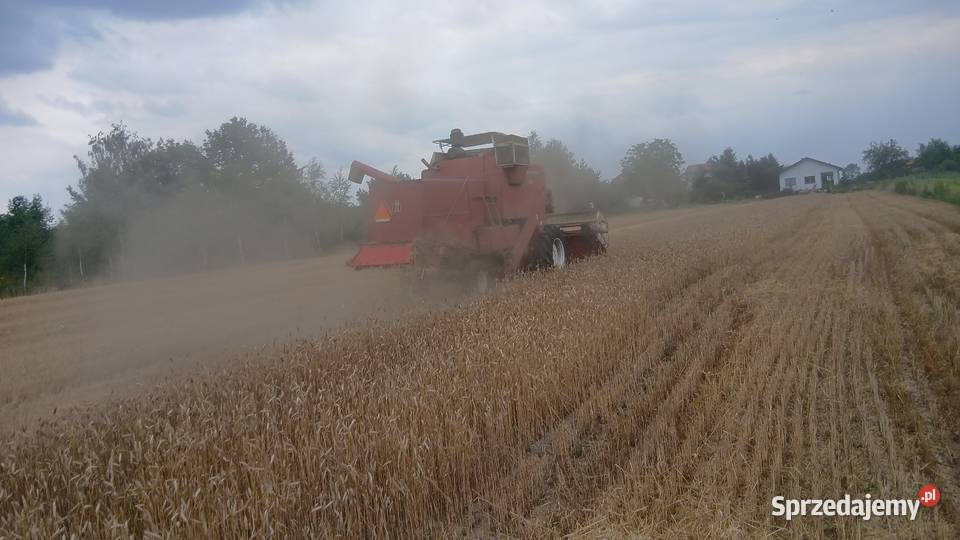 Kombajn zbożowy International IHC 431 31m Bratoszewice