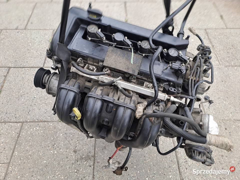 Ford Fokus 18 16V 125 silnik kompletny kod Q7DA Jastrzębie-Zdrój