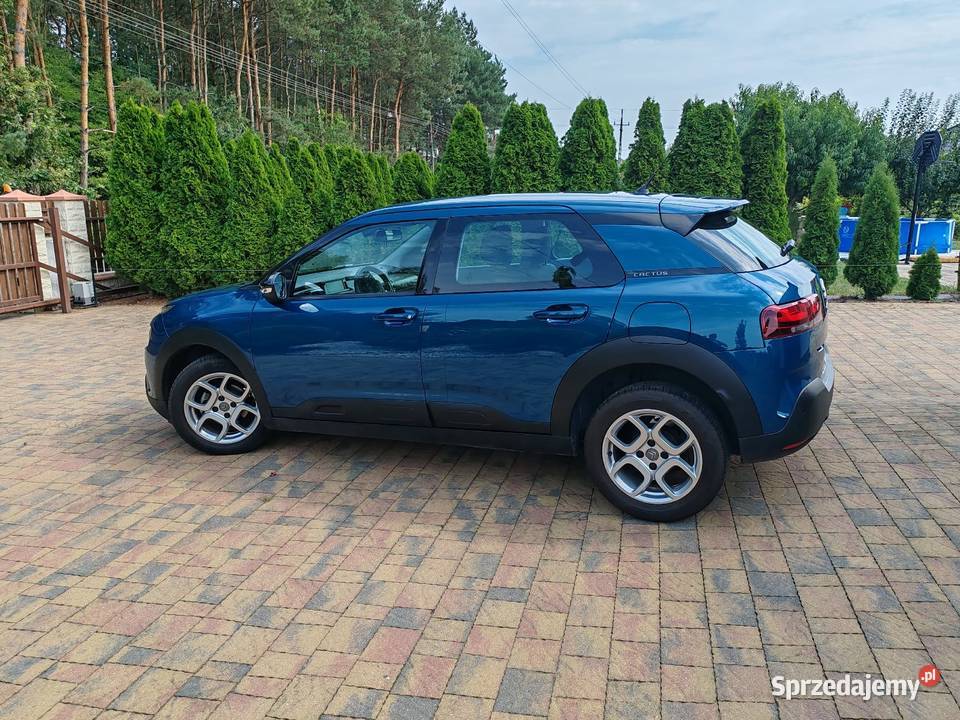 Citroen C4 Cactus Kolonia Zawada