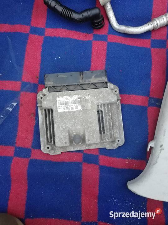 Części pozostalosci wielkopolskie Gniezno