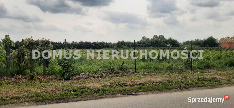 Grunt 1500m2 Brzeziny sprzedam