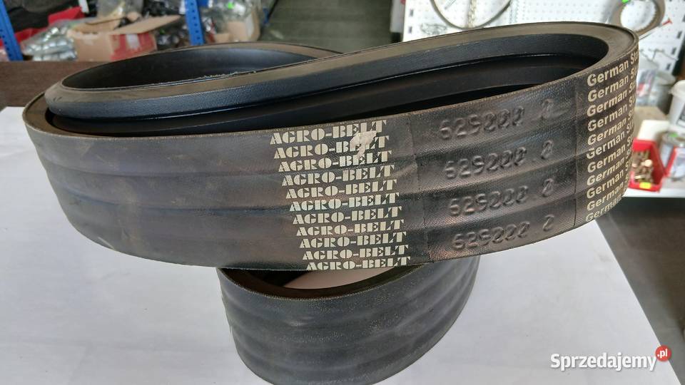 Pas klinowy Claas Dominator 62900 Radomsko