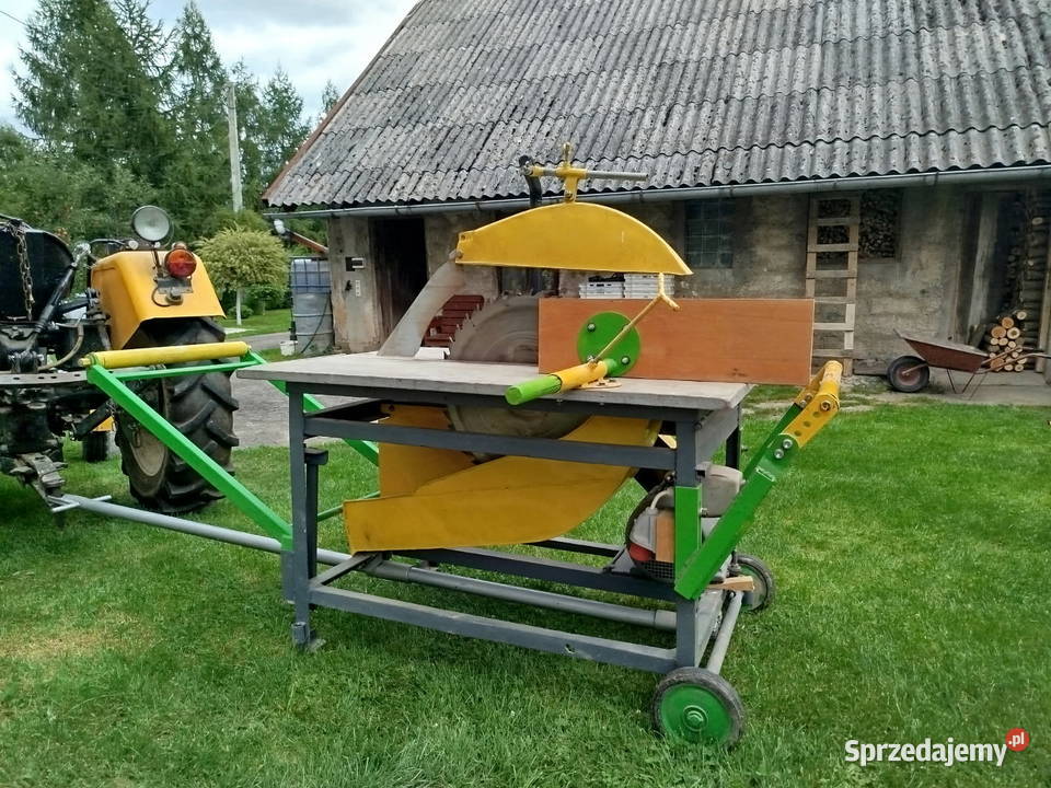 Cyrkularka duża Sanok