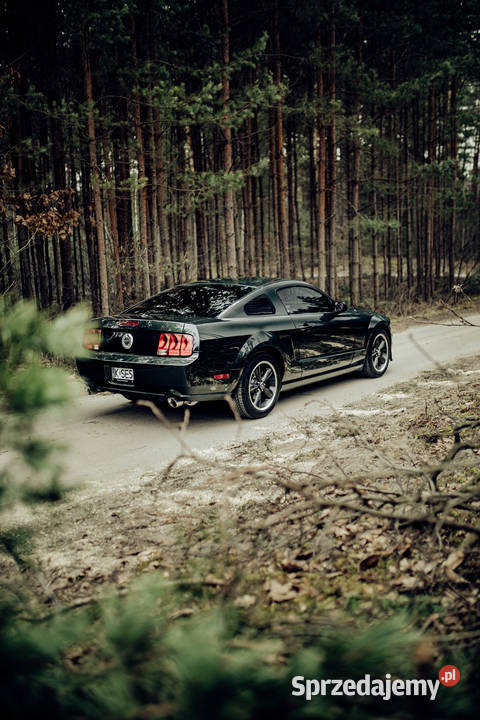 Ford Mustang Bullitt 2008r 46 V8 seryjny 3797 Nisko