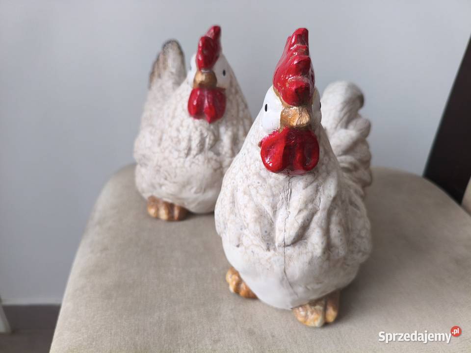 Kura i kogut zestaw Dębica