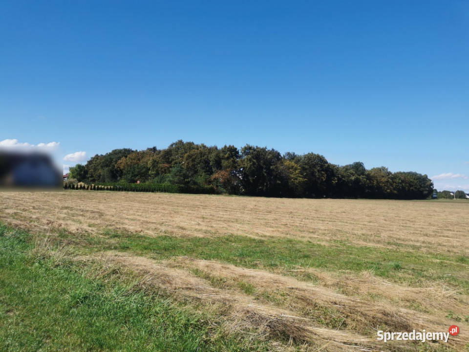 Sprzedam działkę budowlaną 15 arów z MPZP dolnośląskie Jegłowa sprzedam