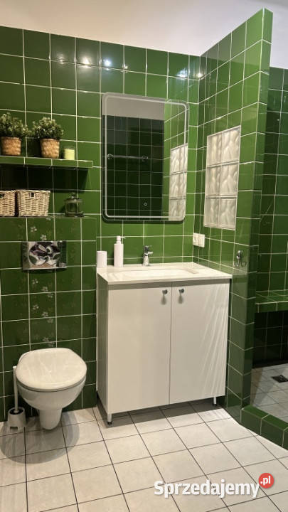 Wynajmę mieszkanie Katowice