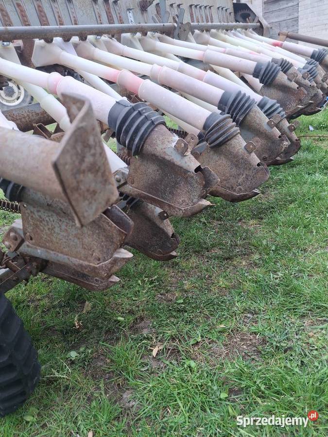 siewnik Poznaniak Władysławów