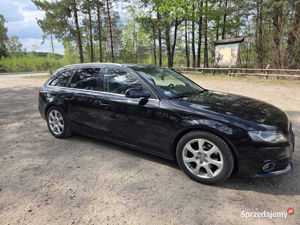 Audi a4 b8 20 TDI Wyhalew sprzedam