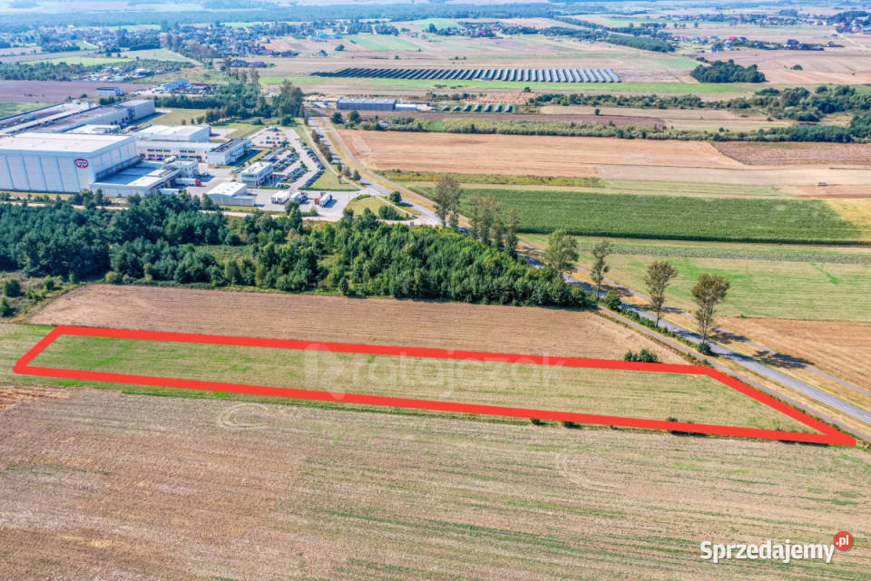 sprzedaży gruntu 9632m2 Łebcz Dr Augusta