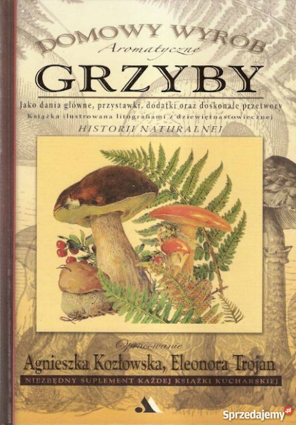 AROMATYCZNE GRZYBY KOZŁOWSKA TROJAN kuchnia, potrawy Gorzów Wielkopolski