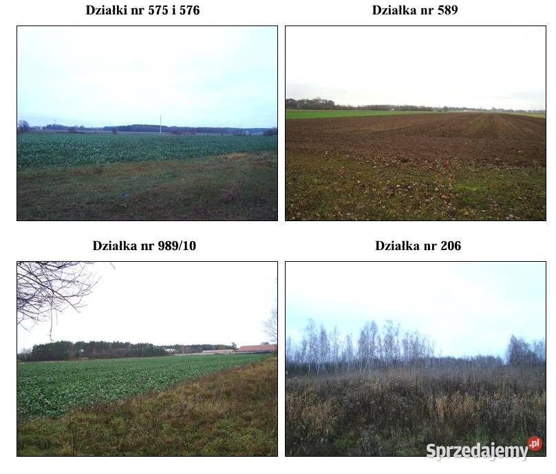 Syndyk Sprzeda Działki w miejscowości Krępa łódzkie