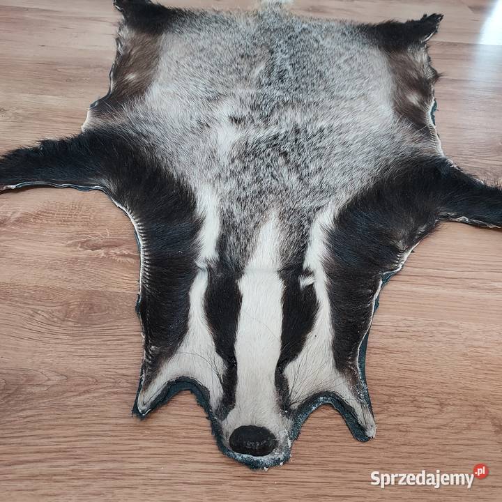 Skóra Naturalna BORSUK Skóra Dekoracyjna z Dekoracje i ozdoby Szaflary