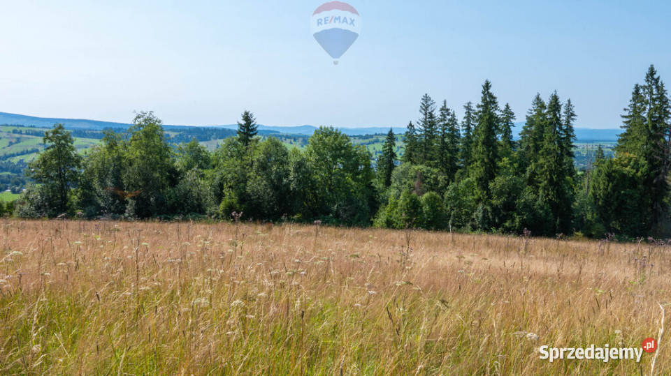 Twój kawałek natury z widokiem na Tatry polna