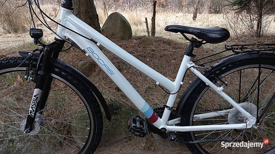 Alu Rower Młodzieżowy Bocas Tyrone Trapez 3x7 Wołów