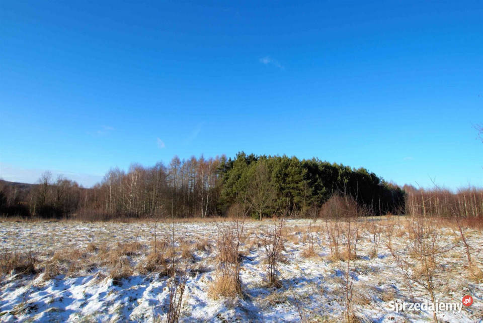 Działka Ćmińsk 6600m świętokrzyskie
