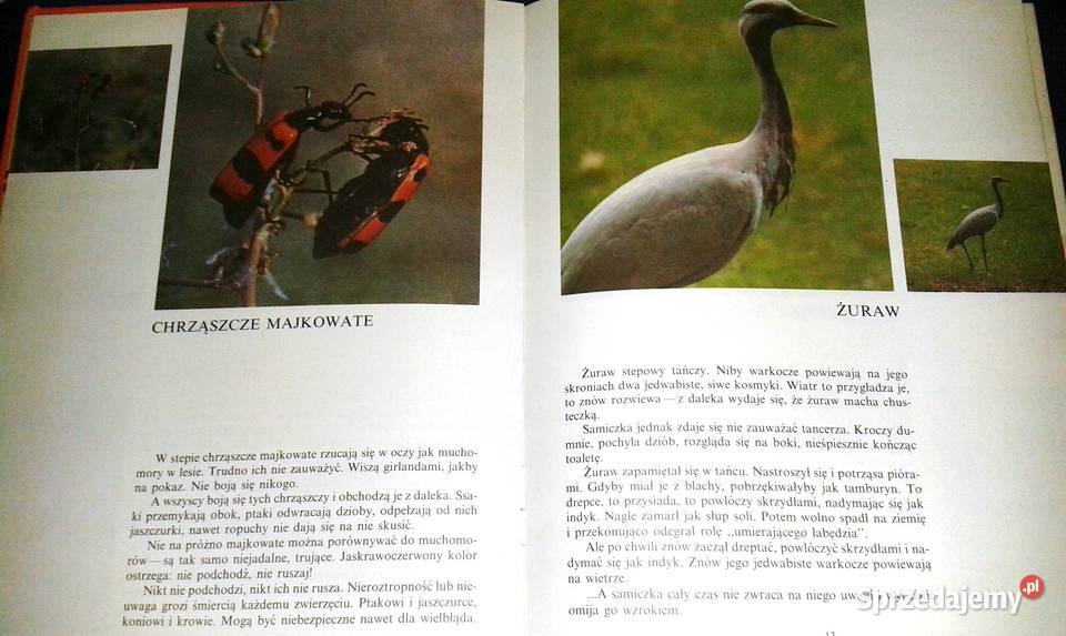 Świat tęczy Nikołaj Sładkow Chełm