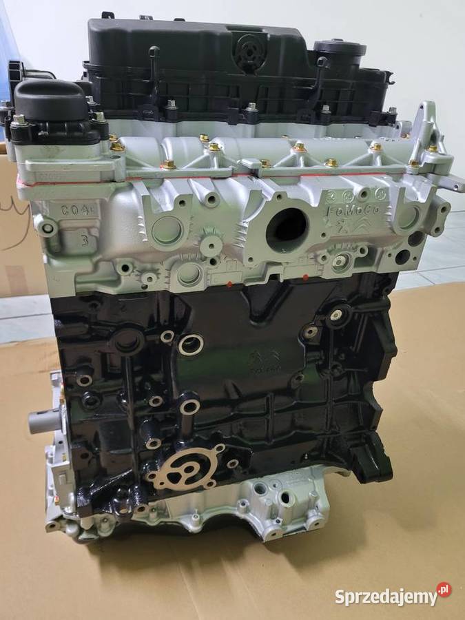 Silnik Peugeot Citron 20 dci Radom