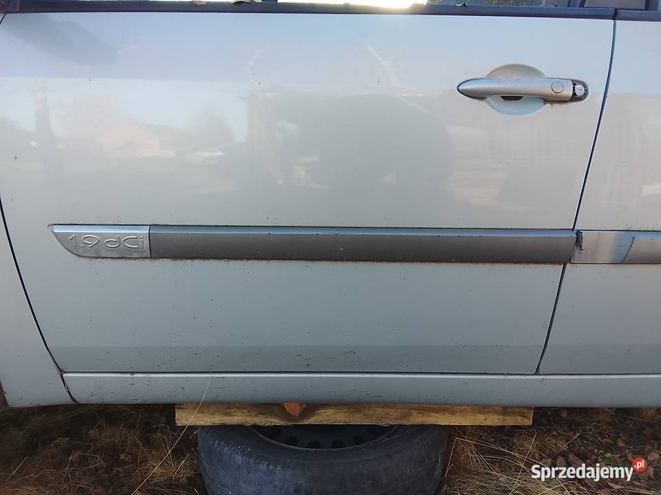 Błotnik lew scenic II Błotniki Ostrów Wielkopolski