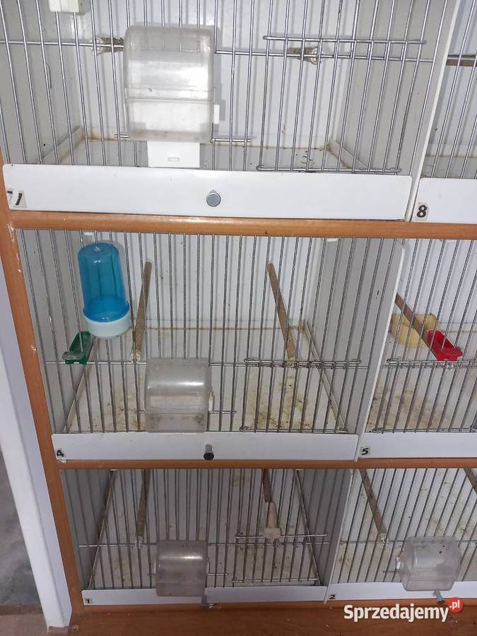 Regał na ptaki Poznań