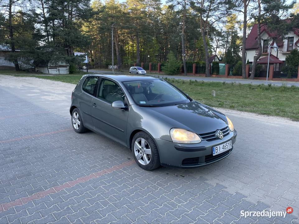 Volkswagen Golf 5 19 TDI 2004 r