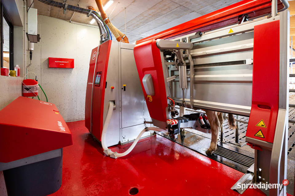 LELY SILICON LINER A2 597002690 Sulechów