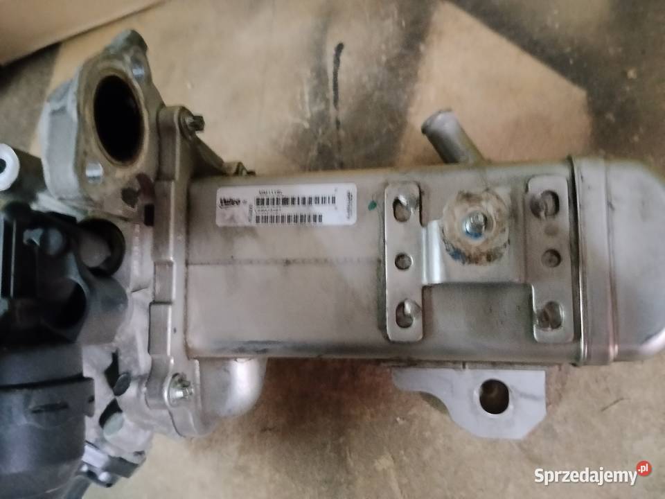 EGR Ford