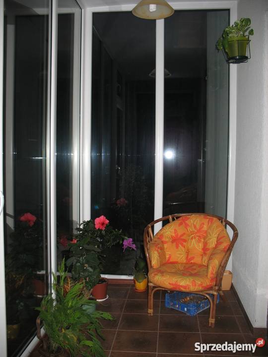 Sprzedam zamienię dom mieszkalny Nieruchomości Golub-Dobrzyń