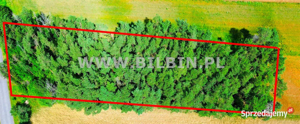 Grunt Morgi 9101m2 sprzedam