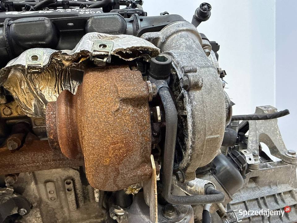 SILNIK G8DA Ford Focus II MK2 C C 16 TDCI 109 osobowe lubelskie Chełm