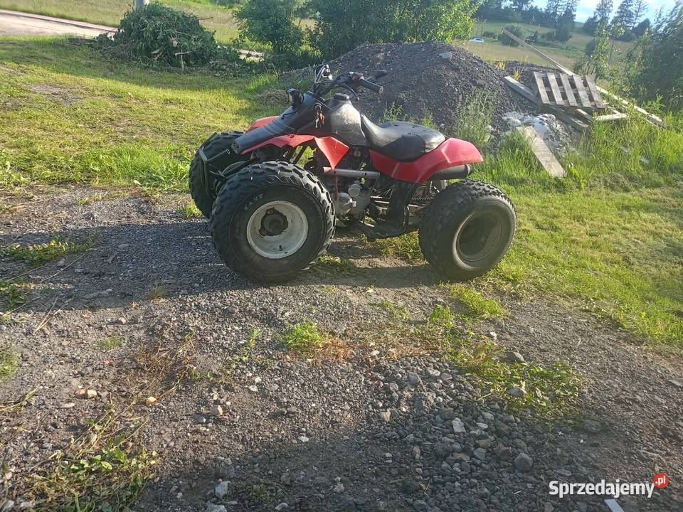 Qlad 150cc Żukowo