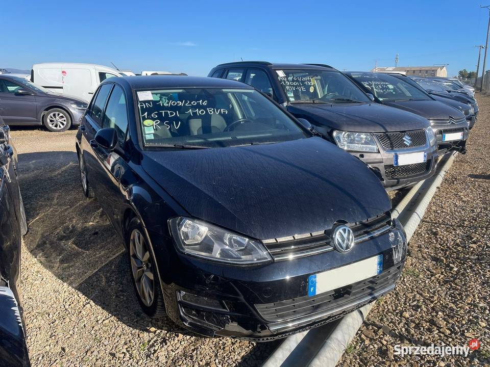 VOLKSWAGEN Golf VII 16 TDi CR BlueMotion 110 Wrocław