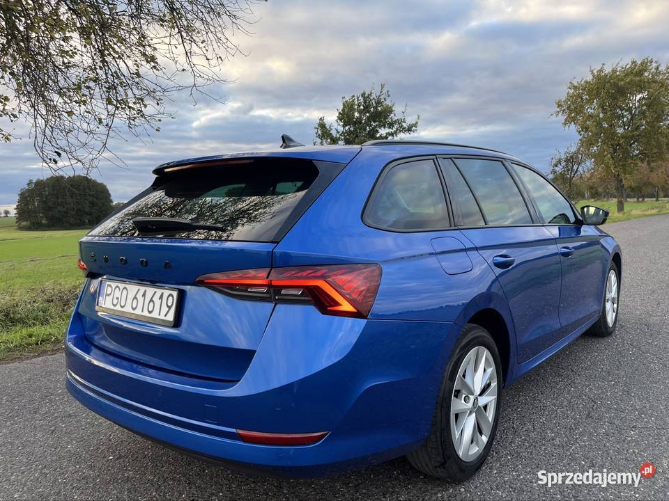 Skoda Octavia Polski Salon Octavia Borzysław