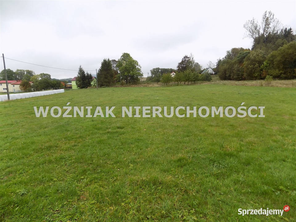 sprzedaży gruntu 3000m2 Bartnica