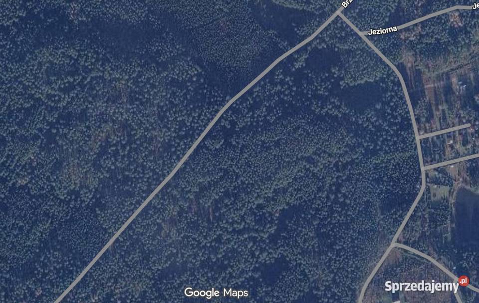 Kompleks leśny 58 ha Sosna 75 lat Gmina