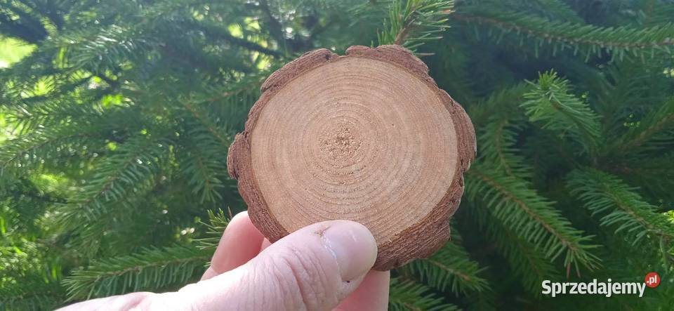 Plastry drewna 1000sztuk 210 krążki drewniane