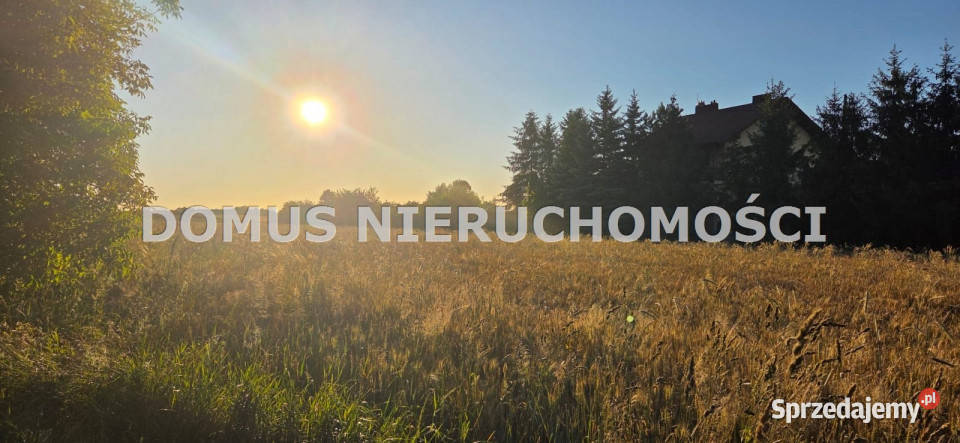 sprzedaży gruntu 9800m2 Rogów łódzkie sprzedam