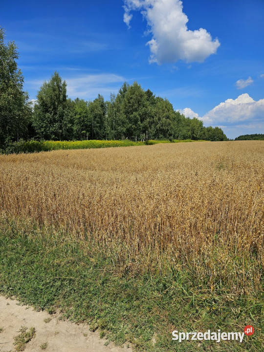 Karczmiska Drugie ponad 33ar działki rolnej Sprzedaż lubelskie