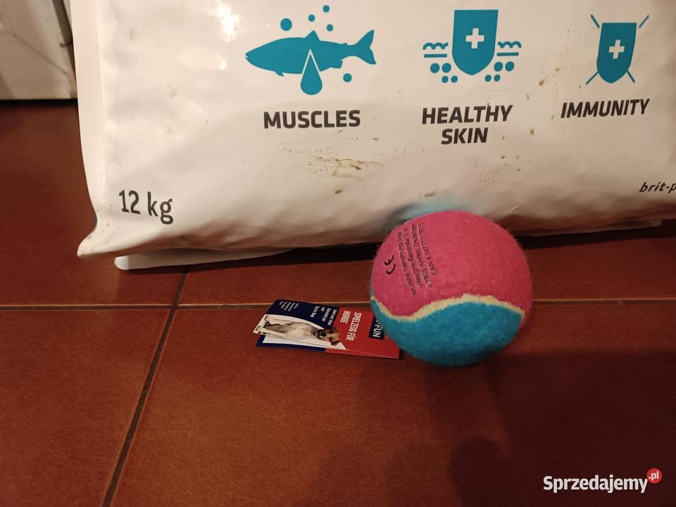 12 karma sucha BRIT z łososiem Bezzbożowa Dla psów