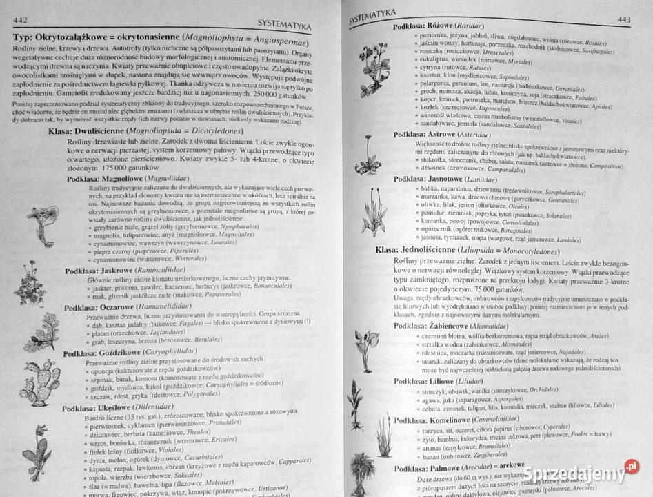 Tablice biologiczne Witold Mizerski Beata Chełm