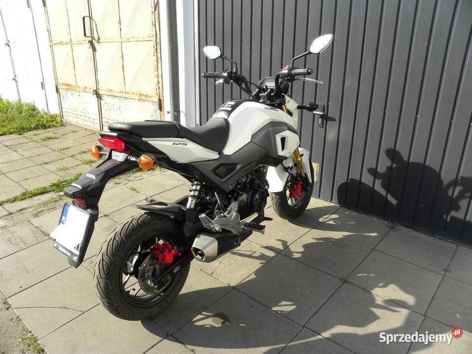 honda msx grom 125 nowy model Honda Oława