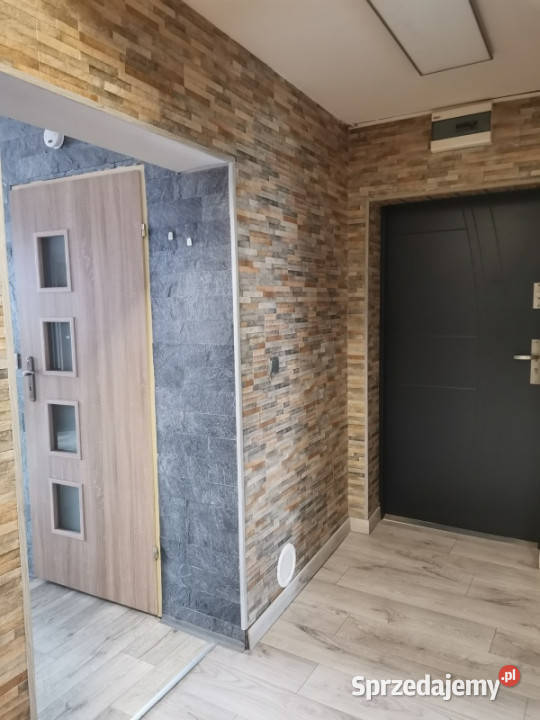 Indywidualne Liczba pokoi 3 Sprzedaż Bystrzyca Kłodzka