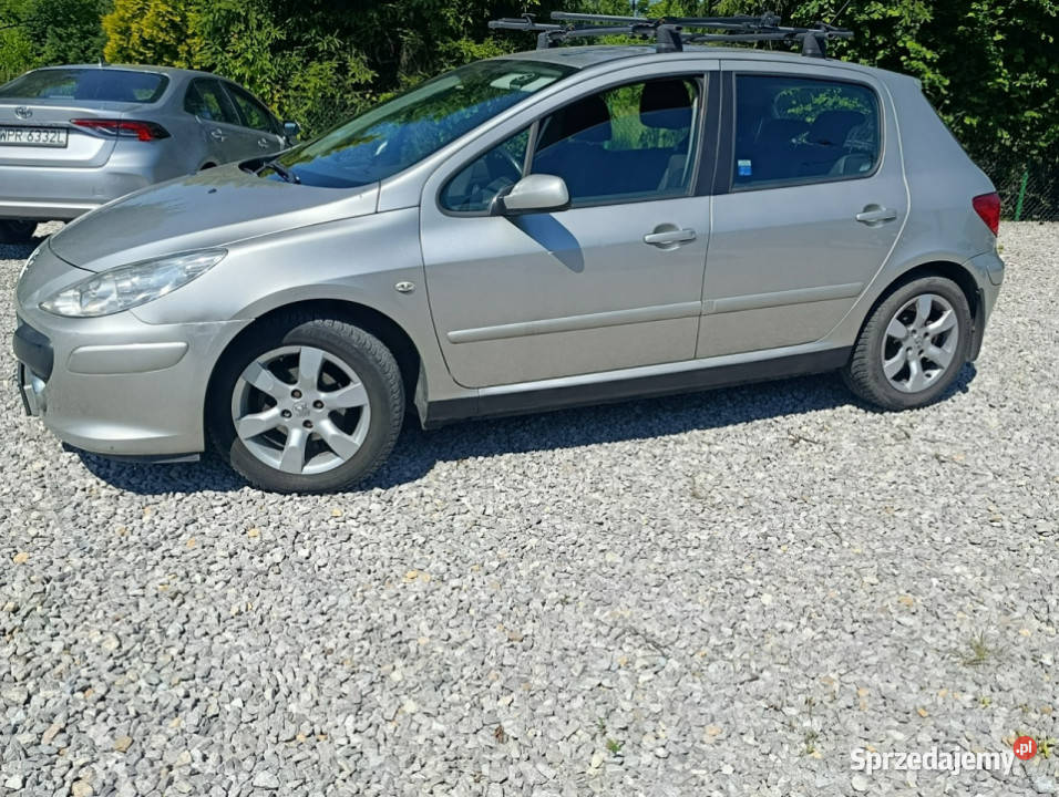 Peugeot 307 Krajowy benzyna 16 klimatyzacja II 109KM Dulowa