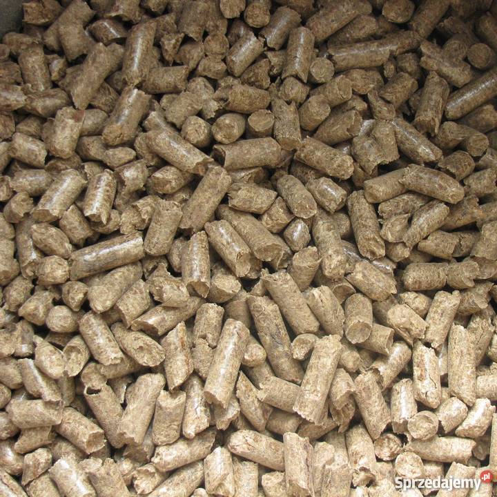 Pellet drzewny Pionki