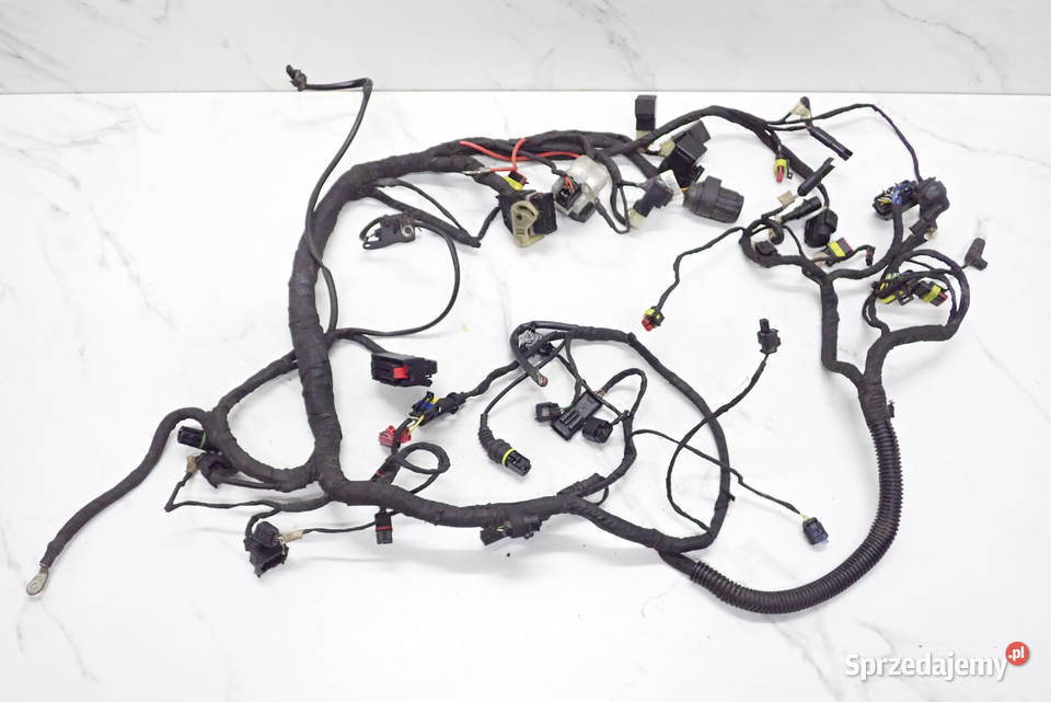 Instalacja Wiązka Elektryczna Czujnik Regulator Strzelce Krajeńskie sprzedam