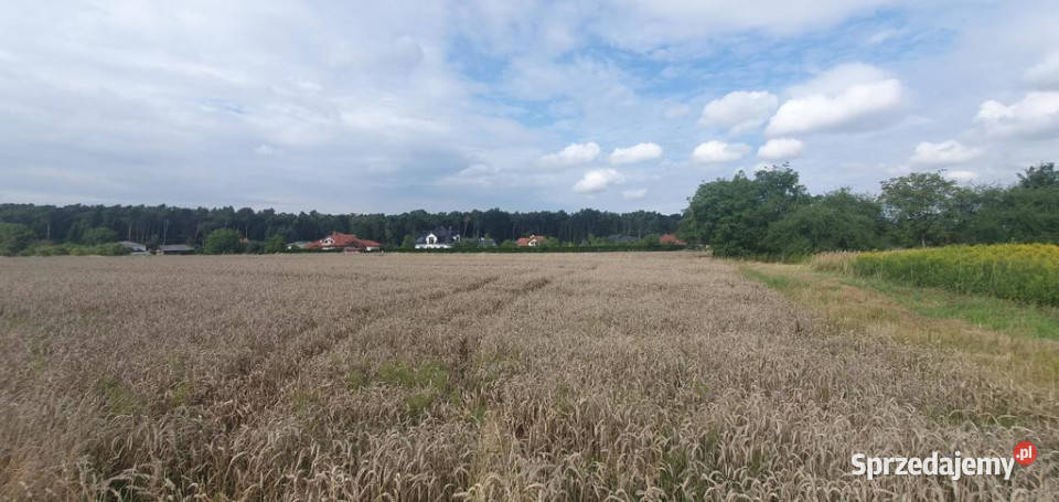 Piękna działka budowlana lasu 17arŚwidnik 21m sprzedam
